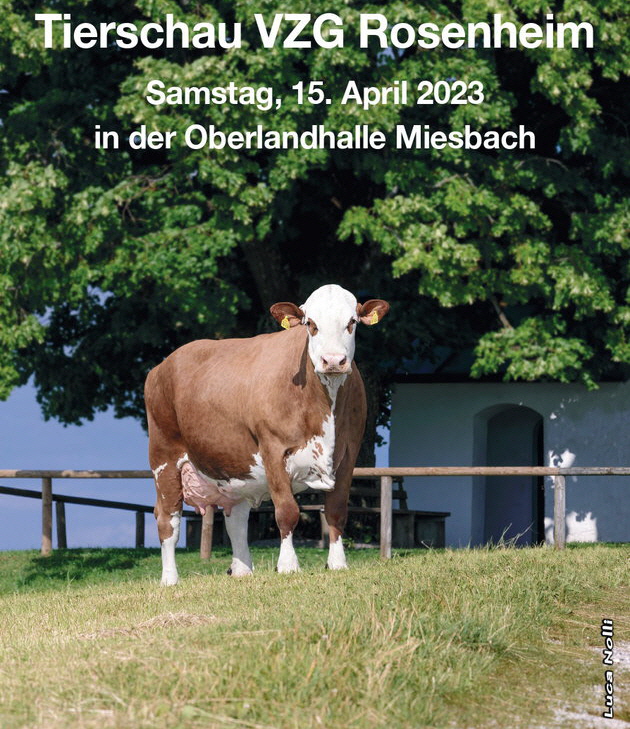 Staatliche Tierschau am 15. April in Miesbach