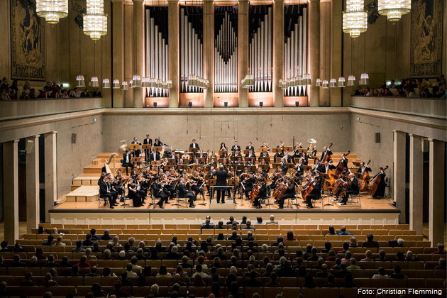 Bruckner Akademie Orchester. Foto: Christian Flemming