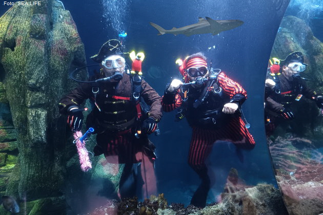 Piraten tauchen zwischen Haien. Foto: SEA LIFE